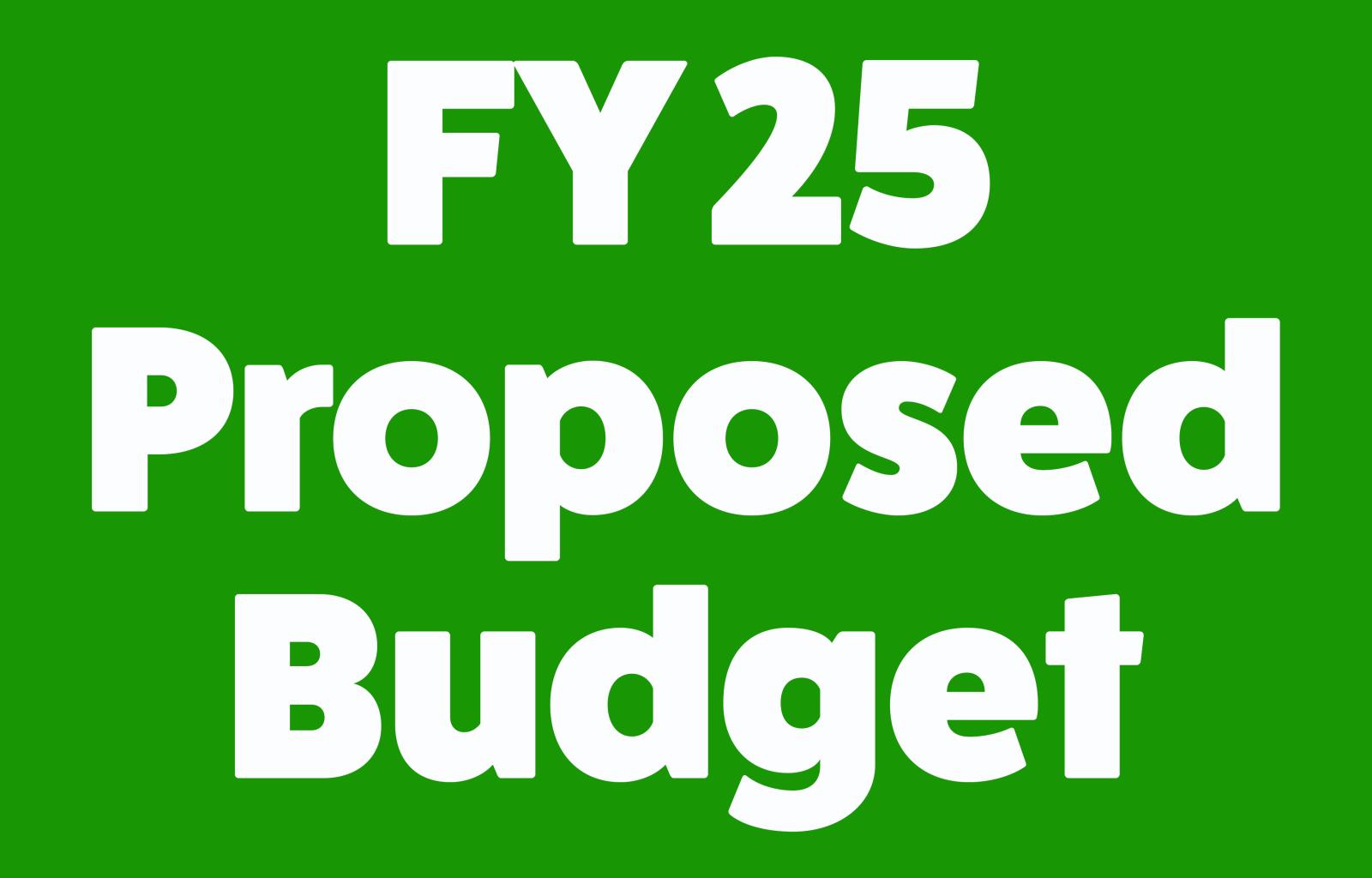 Budget (Proposed Budget FY25)