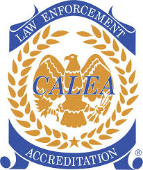 CALEA LE