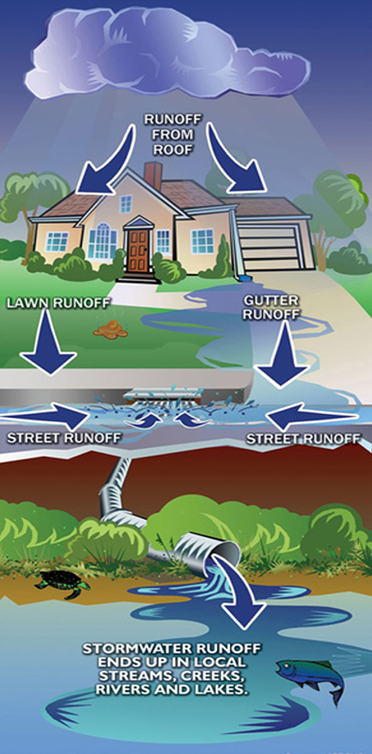 Stormwater Runoff Graphic