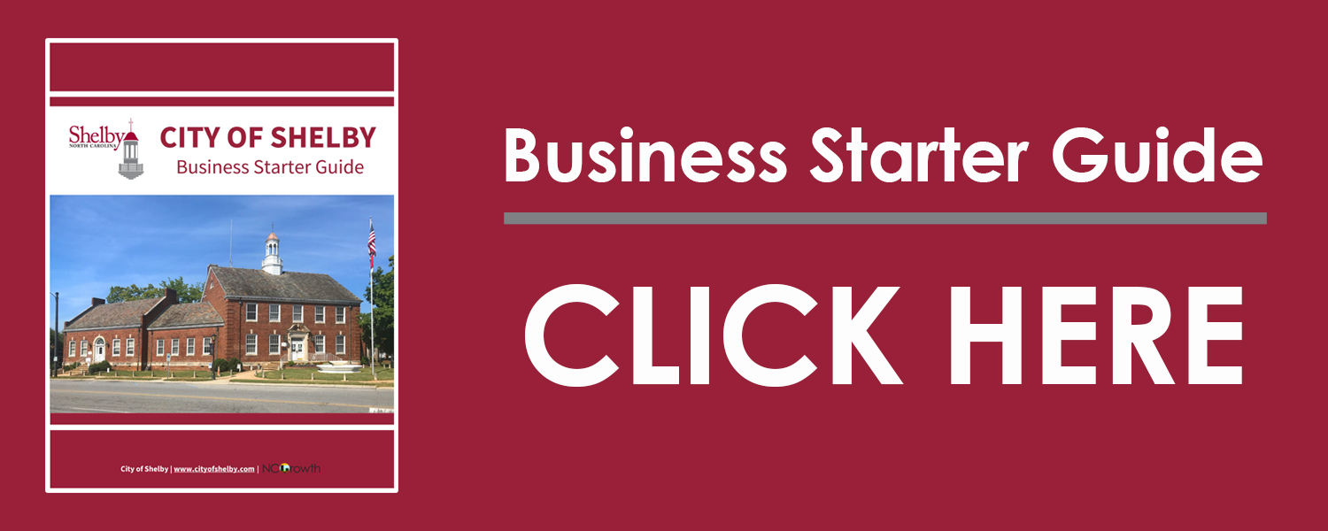 Business Starter Guide Button